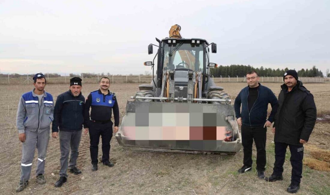 Eskişehir'in Çifteler ilçesinde yapılan denetimlerde, kaçak at kesimi yapan bir