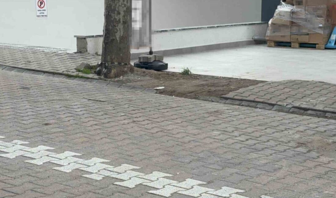 Kocaeli'nin Darıca ilçesinde bir market çalışanı, temizlik yaparken ağacın altında