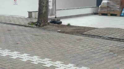 Kocaeli'nin Darıca ilçesinde bir market çalışanı, temizlik yaparken ağacın altında