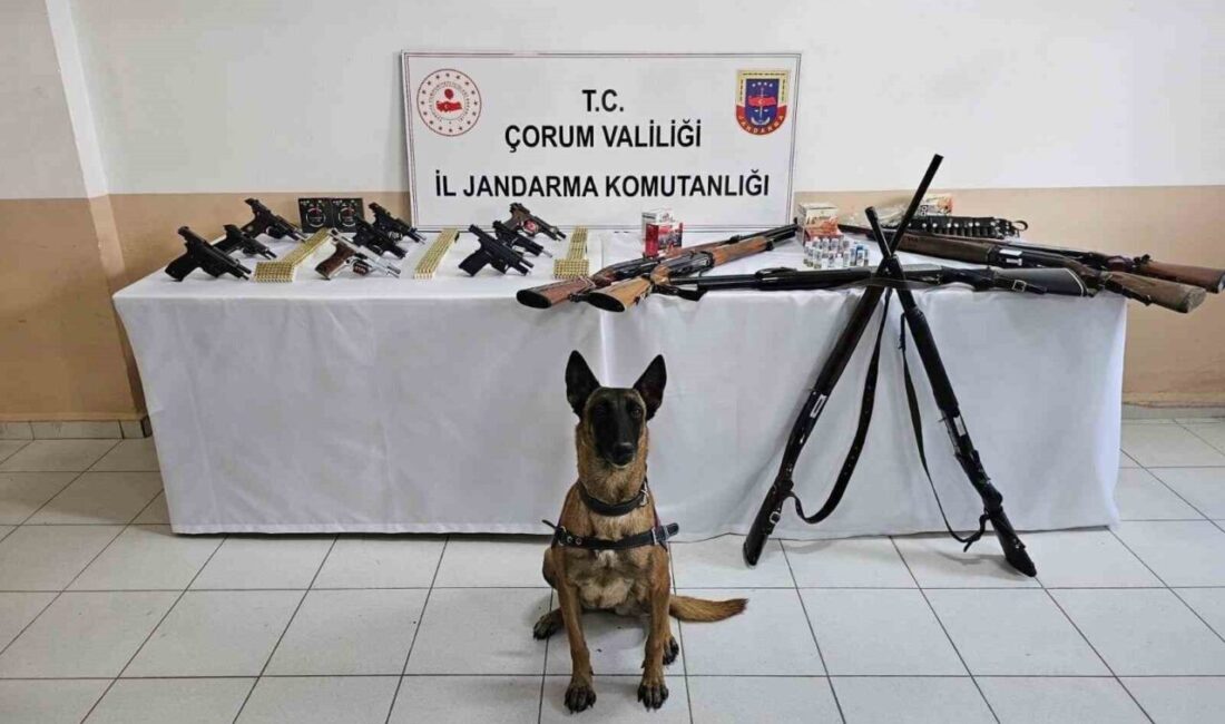 İskilip’te Düğünlerde Silah Kullanımına Yönelik Operasyonda 11 Kişi Gözaltına Alındı Çorum’un İskilip ilçesinde yapılan jandarma operasyonunda, düğünlerde silah kullanarak halkın