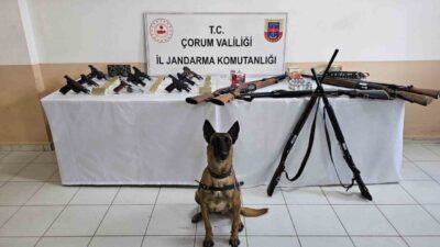 Çorum’un İskilip ilçesinde yapılan jandarma operasyonunda, düğünlerde silah kullanarak halkın