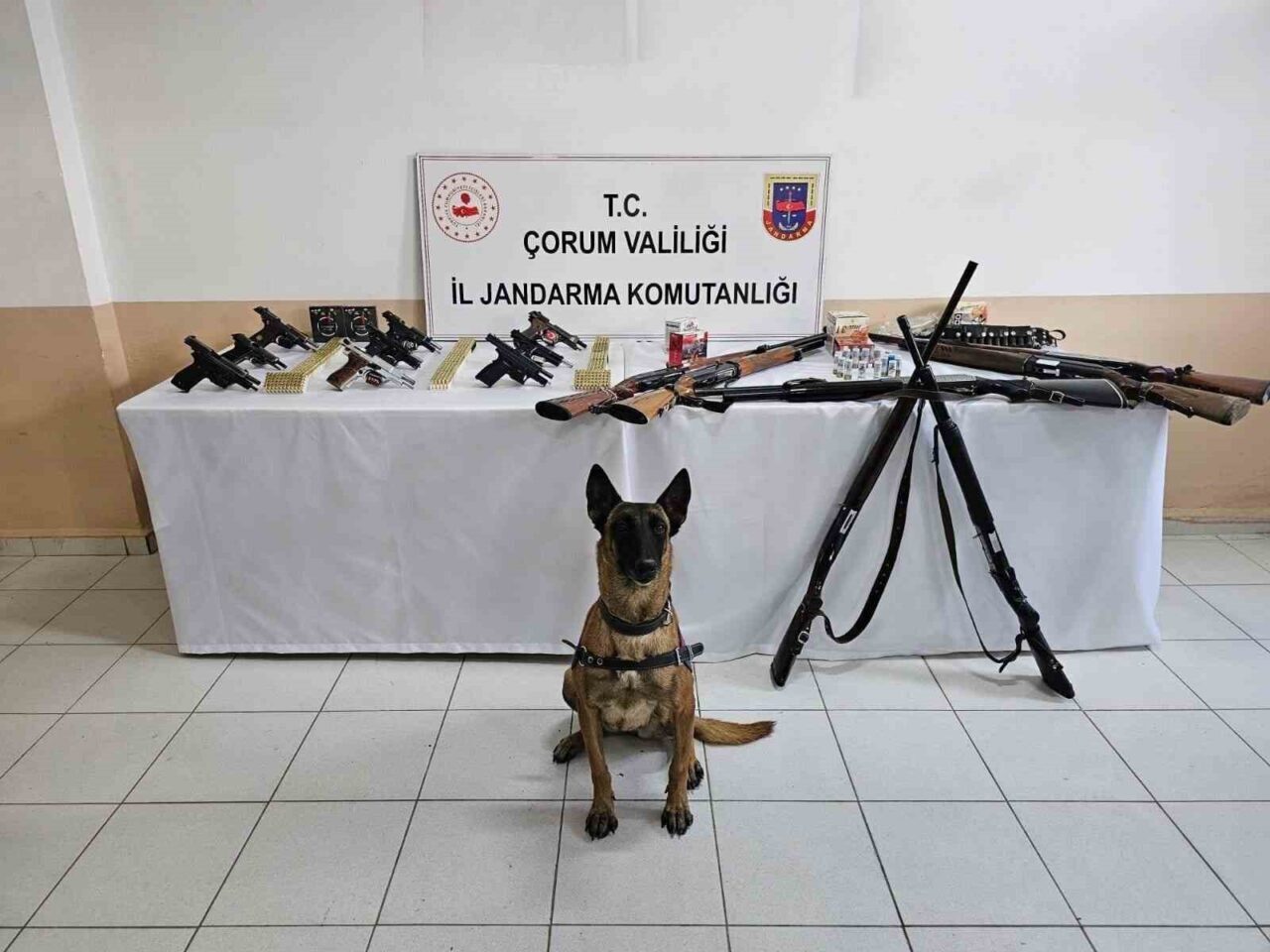 Çorum’un İskilip ilçesinde yapılan jandarma operasyonunda, düğünlerde silah kullanarak halkın