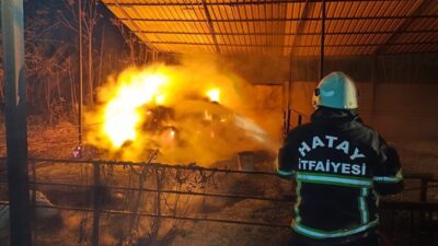Hatay’ın Defne ilçesindeki Hancağız Mahallesi’nde bir ahırda çıkan samanlık yangını,