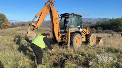 Demirci Belediyesi, tarımsal üretimi desteklemek için arazilerini zeytin, ceviz ve