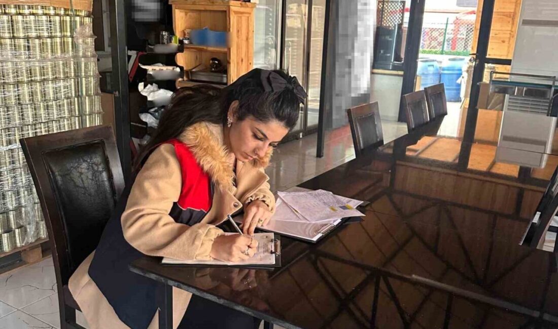 Kırklareli'nin Demirköy ilçesinde gıda işletmelerine yönelik denetimler devam ediyor. Demirköy