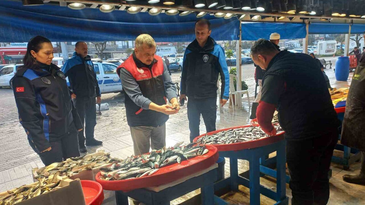 Balıkesir’deki balık marketinde Uskumru adıyla satılan balıkların Kolyoz olduğu belirlendi, denetimler başladı
