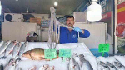 Kahramanmaraş'ta deniz olmamasına rağmen balık tüketimi artıyor. Gayberli Mahallesi'ndeki pazar,