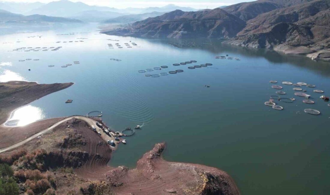 Almus Barajı’ndaki Türk Somonları, Sinop Üzerinden Yurt Dışına İhraç Ediliyor Tokat'ın Almus ilçesindeki Almus Barajı'nda üretilen Türk somonları, Sinop üzerinden