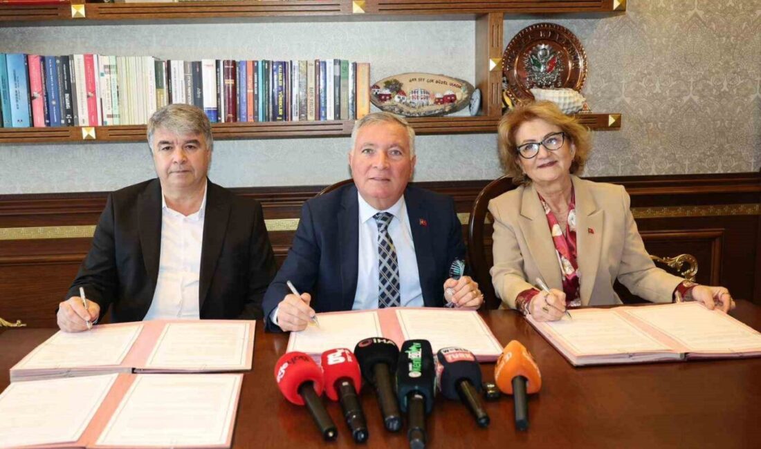 Denizli'de Çardak, Bozkurt ve Honaz belediyeleri, sokak hayvanlarının yaşam koşullarını