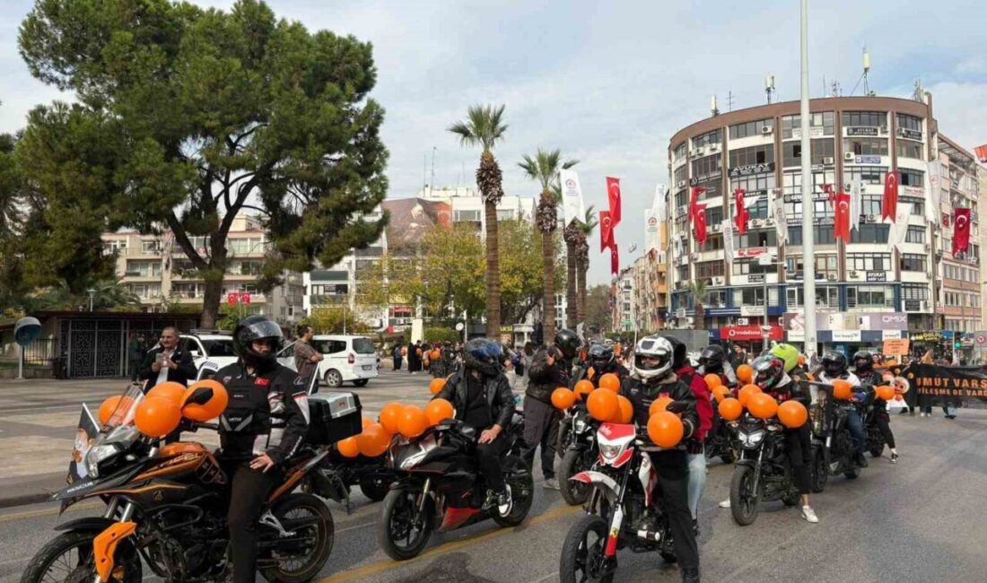 Lösemili Çocuklar Sağlık ve Eğitim Vakfı (LÖSEV), Türkiye genelindeki hizmet