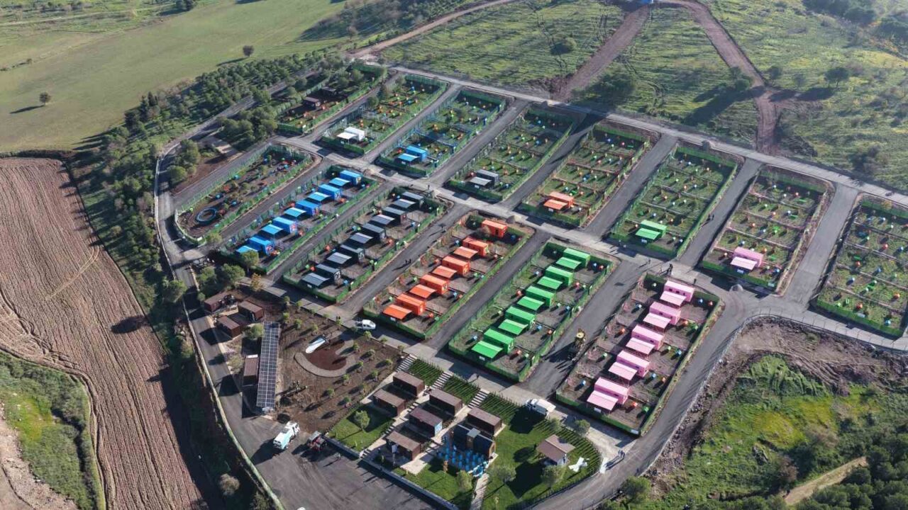 Kahramanmaraş depreminden sonra AFAD'a ait kullanılmayan konteynerler, Balıkesir'de sokak hayvanlarına