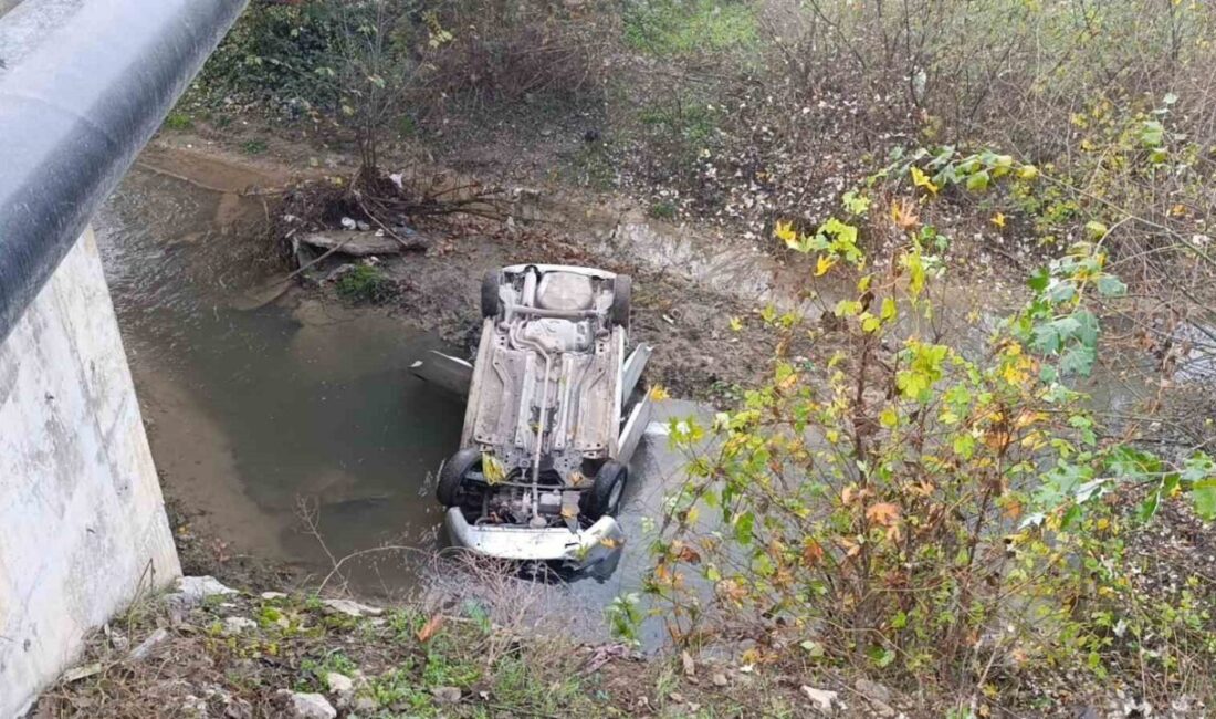 Bursa'nın İnegöl ilçesinde Nevin Ç. (32) yönetimindeki otomobil, direksiyon hakimiyetini