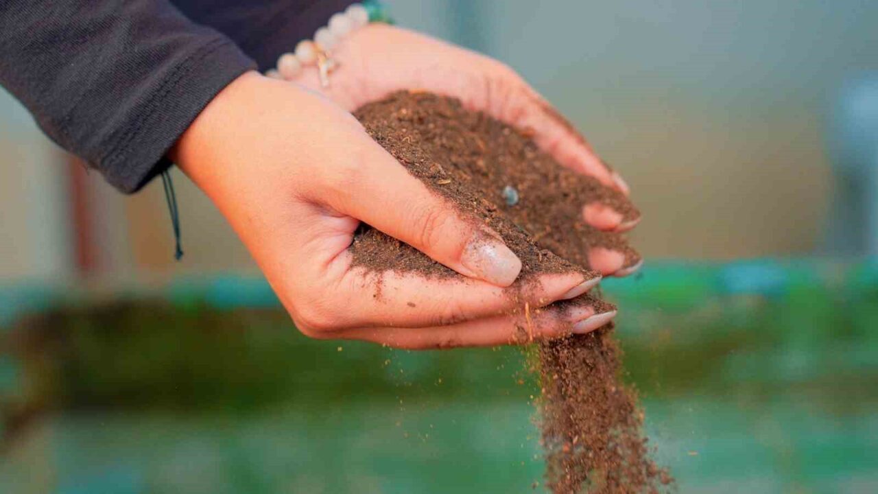 Didim Belediyesi, semt pazarlarından toplanan sebze ve meyve atıklarını komposta