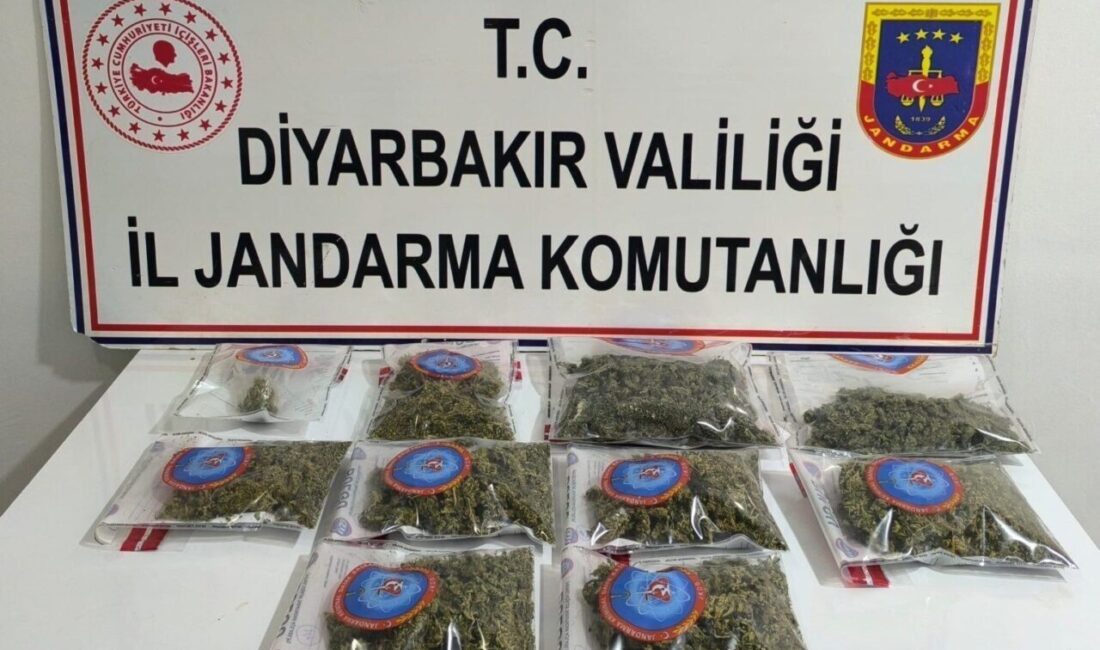 Diyarbakır'da jandarma, uyuşturucu maddeyla ilgili operasyonlar gerçekleştirdi. 8 olayda 25