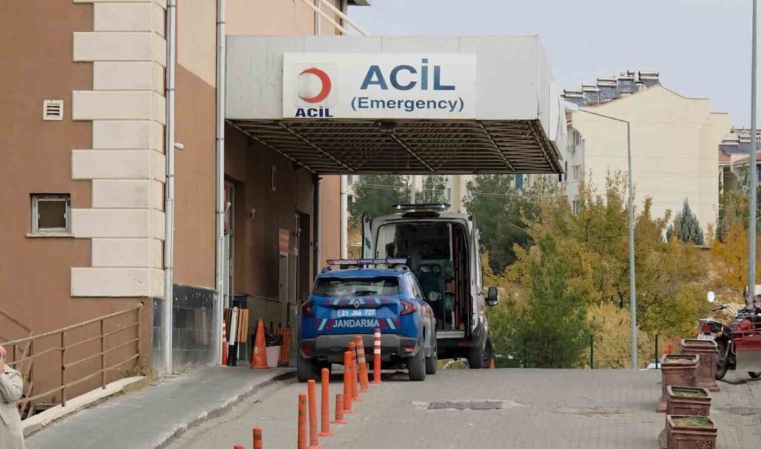 Diyarbakır'ın Ergani ilçesinde M.K., kayınbabası M.C.T. ve kayınbiraderi M.T. ile