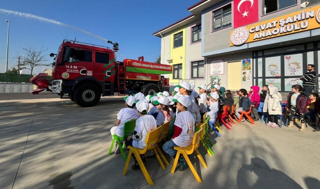 Cumhurbaşkanı Recep Tayyip Erdoğan'ın başlattığı "Yeşil Vatan Seferberliği" çerçevesinde Düzce
