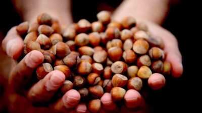 Düzce'den 2023'ün ilk yarısında Avrupa Birliği ülkelerine 16.350 ton iç