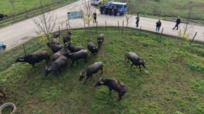 Düzce'de İl Tarım ve Orman Müdürlüğü ile İl Özel İdaresi