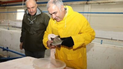 Elazığ Tarım ve Orman İl Müdürü Saadettin Taşkesen, Keban Su