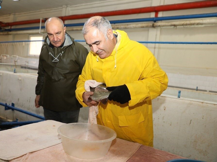 Elazığ Tarım ve Orman İl Müdürü Saadettin Taşkesen, Keban Su