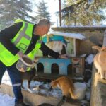 Elazığ Belediyesi, sokak ve yaban hayvanlarına doğada yiyecek dağıtımı gerçekleştirdi.