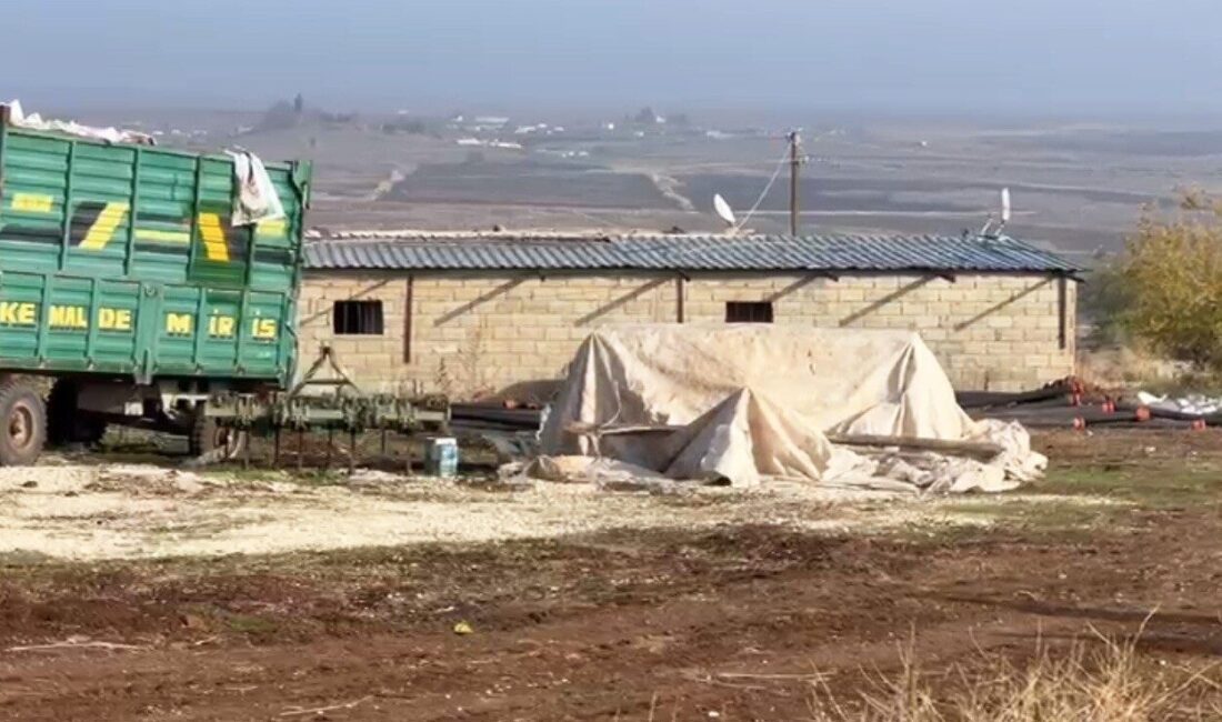 Şanlıurfa'nın Hilvan ilçesinde, yapay zeka destekli dronlarla gerçekleştirilen denetimlerde, kaçak