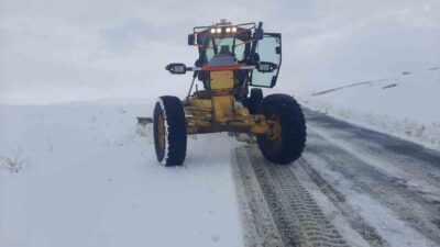 Ağrı'nın Eleşkirt ilçesinde etkili kar ve tipi nedeniyle kapanan 10
