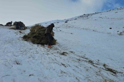 Erciş’te Kışın Kızaklarla Ot Taşıyarak Hayvanların Yem İhtiyacını Karşılayan Köylüler Geleneksel Yöntemlerini Sürdürüyor