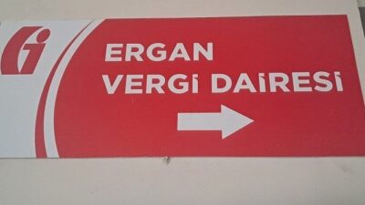 Erzincan'da açılan Ergan Vergi Dairesi, Hazine ve Maliye Bakanlığı'nın yeniden
