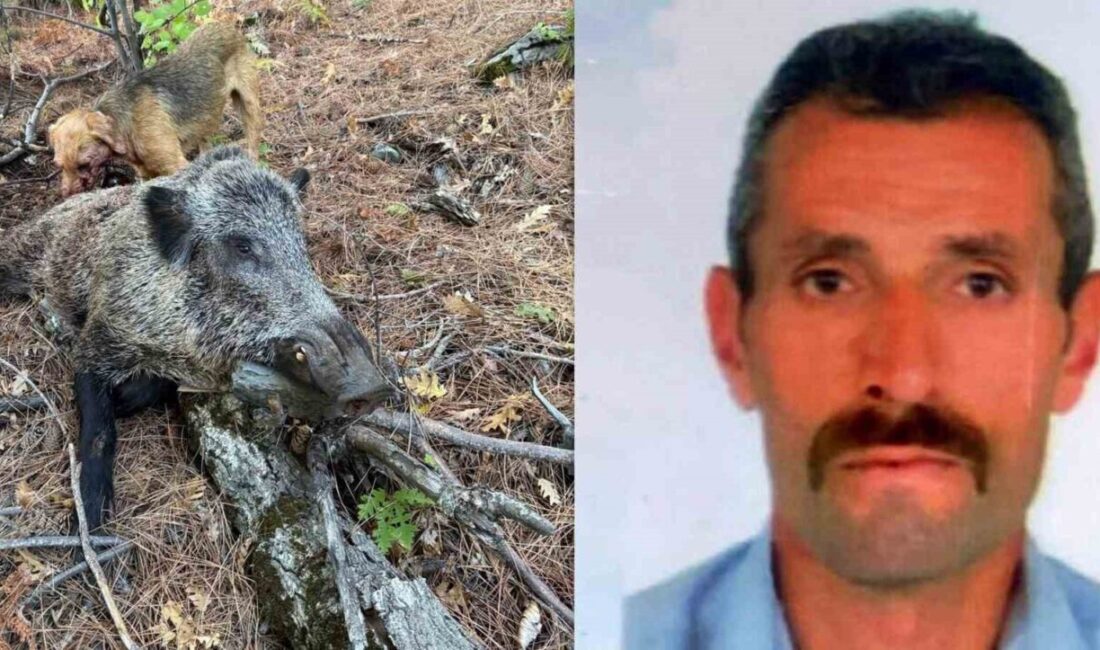 Erzincan’da Domuz Avında Saldırıya Uğrayan Avcı Hayatını Kaybetti Erzincan'ın Kemah ilçesinde domuz avı sırasında saldırıya uğrayan 54 yaşındaki