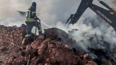 Erzurum'un Hınıs ilçesindeki Ünlüce köyünde İlhami Bingöl’e ait ahırda çıkan