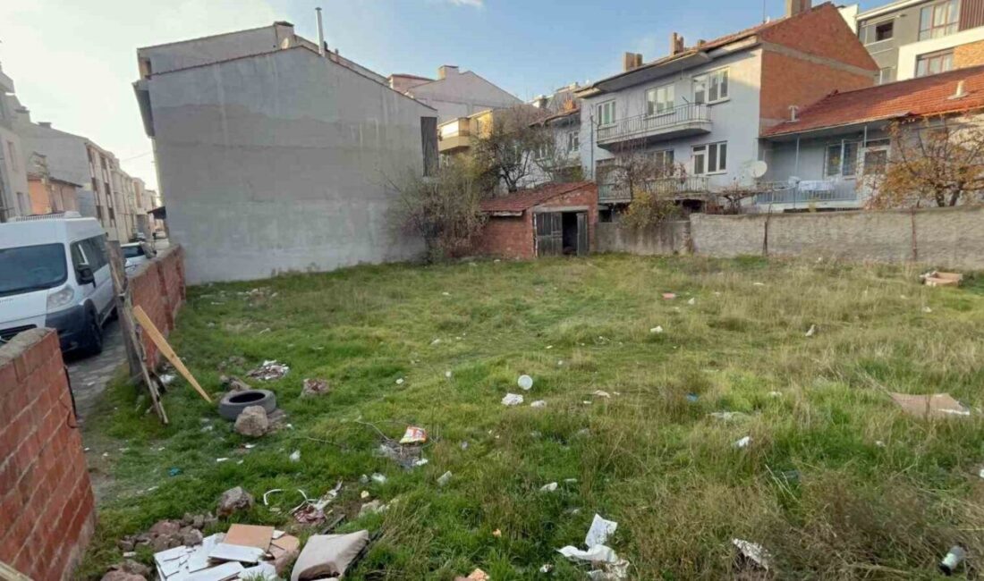 Eskişehir’de Boş Arazide Sekiz Kedi Cansız Beden Halinde Bulundu Eskişehir Tepebaşı'nda, Mustafa Efe isimli genç, boş bir arsada 8