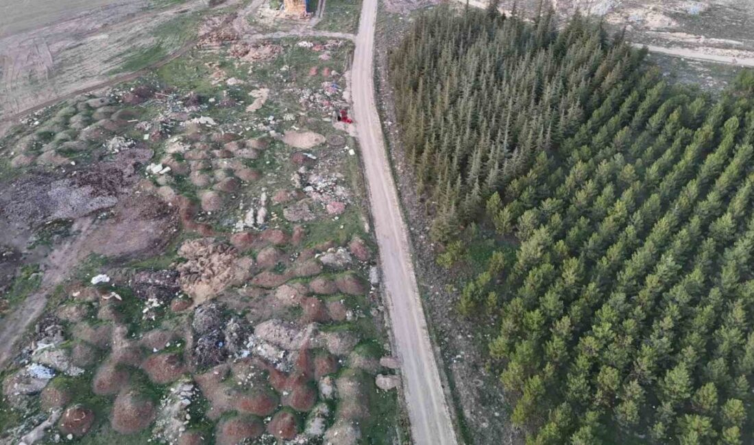 Eskişehir'in Tepebaşı ilçesinde, Keskin Mahallesi'ndeki mera alanı, duyarsız sürücülerin ve