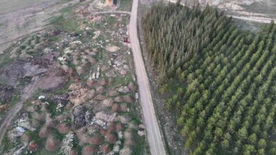 Eskişehir'in Tepebaşı ilçesinde, Keskin Mahallesi'ndeki mera alanı, duyarsız sürücülerin ve