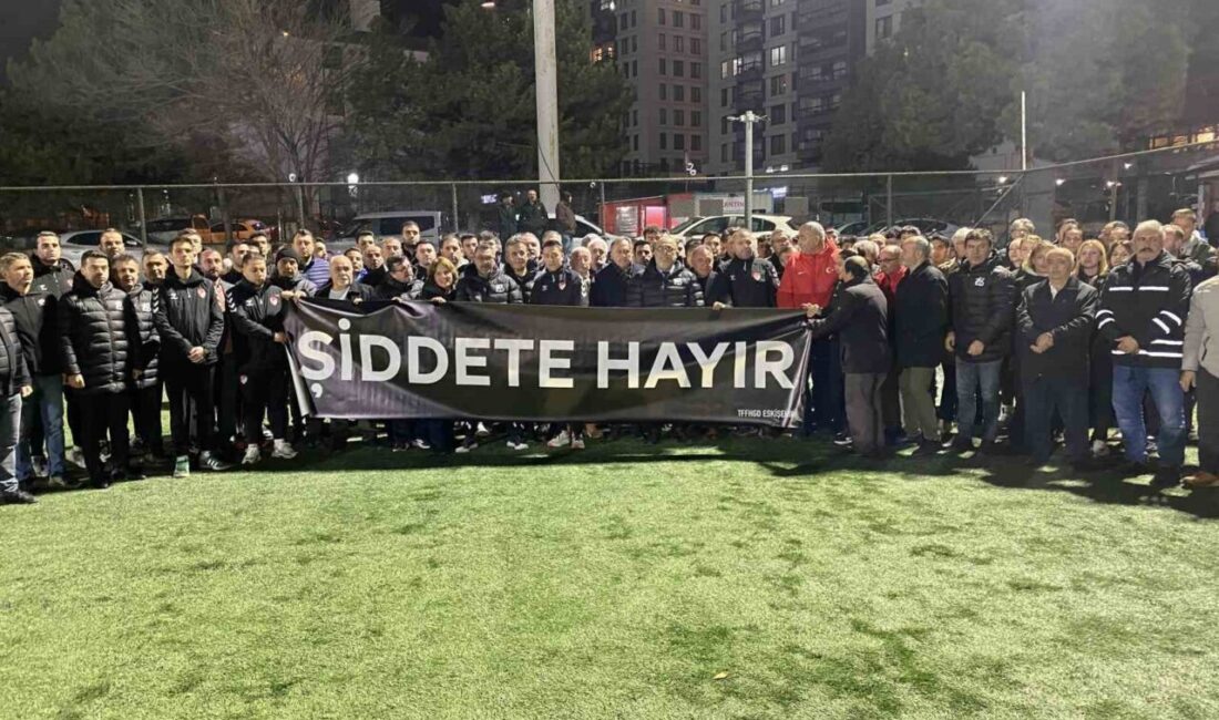 Eskişehir'de bir hakeme yönelik saldırı, Türkiye Faal Futbol Hakemleri ve