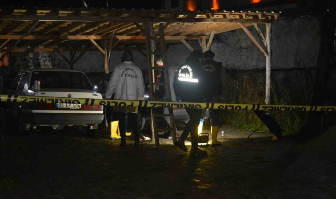 Ünye’de Patlayıcı Madde Atan Şahıs, Polis Tarafından Hızla Yakalandı Ordu'nun Ünye ilçesinde, K.Ç. isimli bir şahıs, el yapımı patlayıcıyı