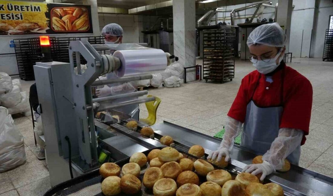 Gaziantep'te bulunan GAHİB Halıcılık ve Dış Ticaret Mesleki ve Teknik