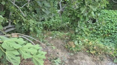 Fethiye'de trafik polislerinden kaçan 27 yaşındaki Halil B., motosikletinin dere