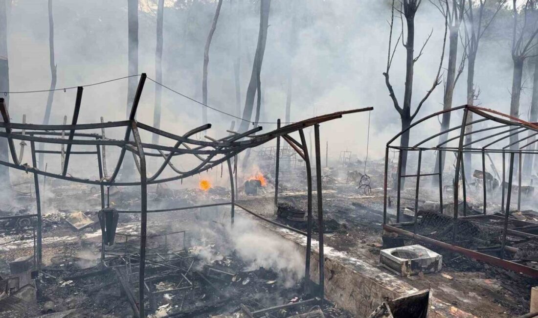 Muğla'nın Fethiye ilçesindeki Katrancı Koyu Tabiat Parkı'nda, elektrik aksamından kaynaklandığı