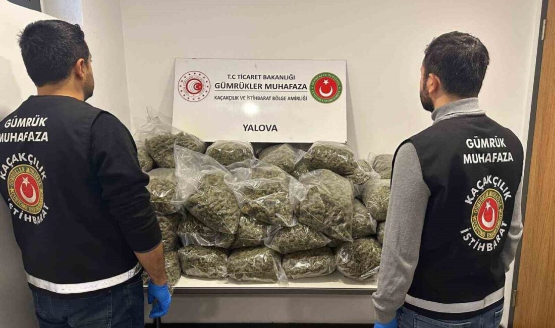 Yalova Limanında Fransa’dan Gelen Tırda 37 Kilogram Skunk Ele Geçirildi, 5 Gözaltı İşlemi Yapıldı Fransa'dan Yalova limanına gelen bir tırda 37 kilo 742 gram