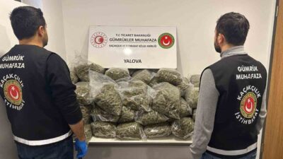 Fransa'dan Yalova limanına gelen bir tırda 37 kilo 742 gram