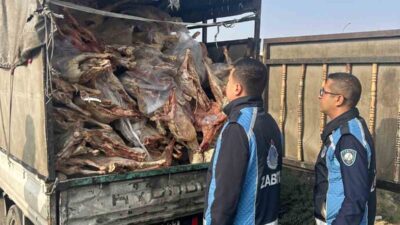 Gaziantep'in Nizip ilçesinde durdurulan bir kamyonetteki bozuk etler ele geçirildi.