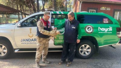 Gaziantep'te jandarma ekipleri, yorgun ve yaralı bir kartal buldu. HAYDİ