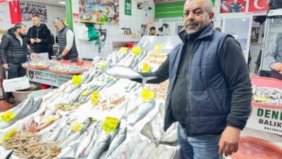 Denizli balık halinde en çok sardalya, hamsi ve istavrit tercih