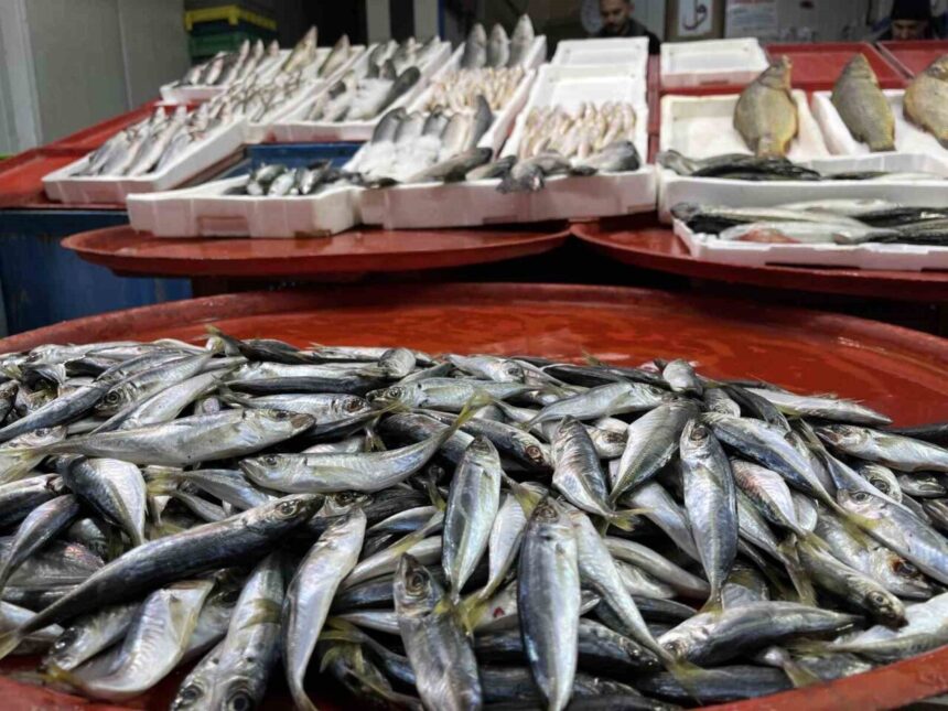 Konya’da balıkçılar, geç soğuma nedeniyle hamsi bulmanın zorlaştığını ve satışların artmadığını kaydetti.