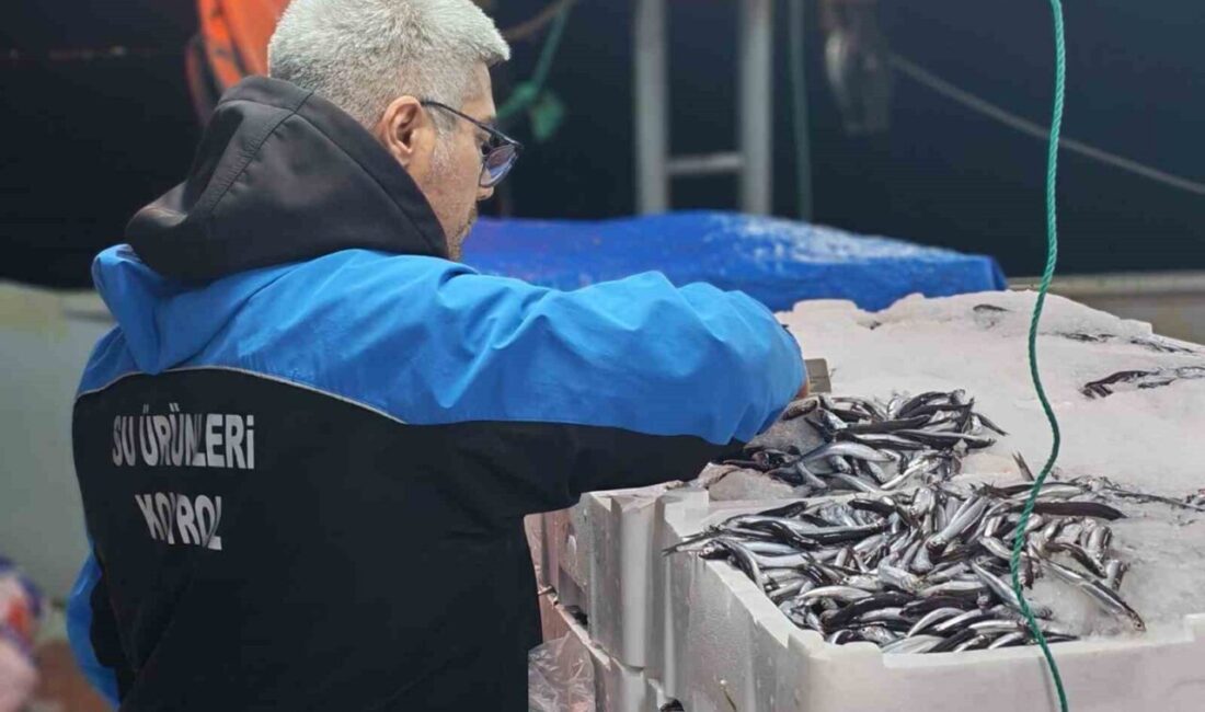 Çanakkale’nin Gelibolu ilçesinde, Tarım ve Orman Bakanlığı tarafından sürdürülebilir su