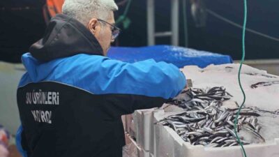 Çanakkale’nin Gelibolu ilçesinde, Tarım ve Orman Bakanlığı tarafından sürdürülebilir su