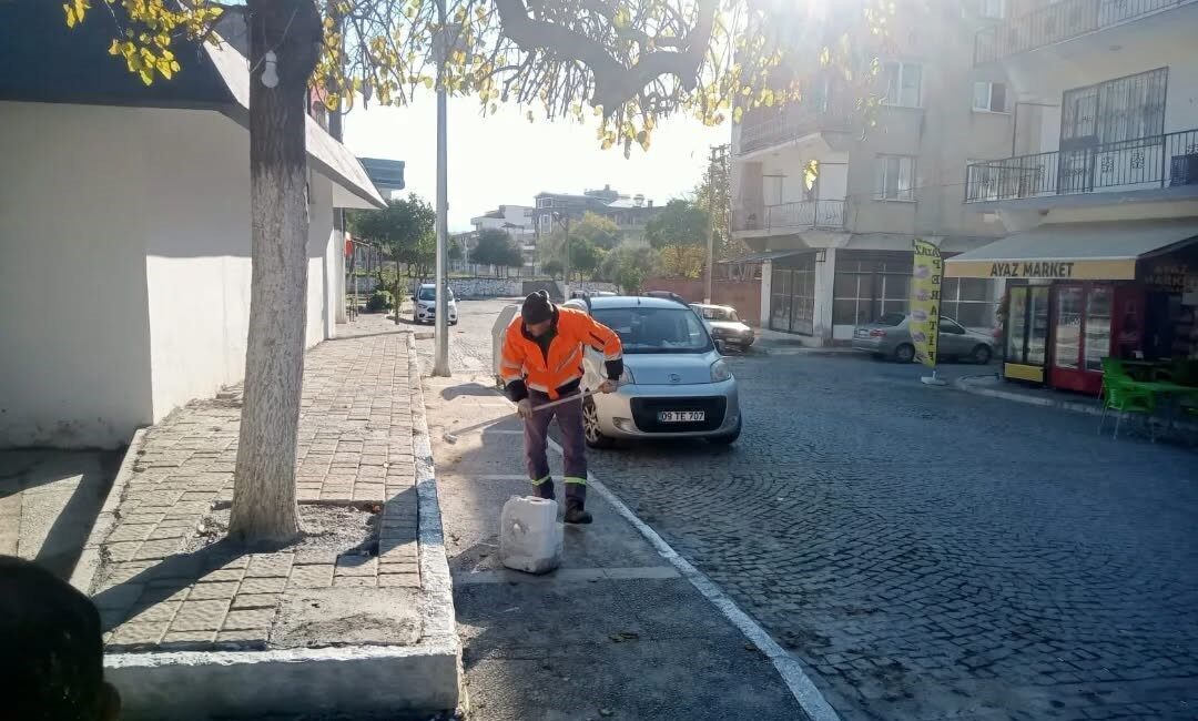Germencik Belediyesi, haşerelere karşı Pazarkuran Meydanı'nda kireçleme ve ağaç budama