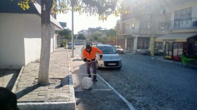 Germencik Belediyesi, haşerelere karşı Pazarkuran Meydanı'nda kireçleme ve ağaç budama