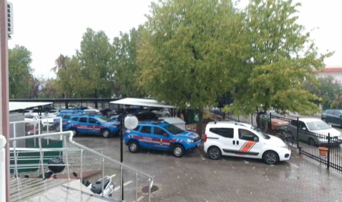 Muğla'da gerçekleştirilen göçmen kaçakçılığı operasyonunda, 8 ilde eş zamanlı olarak